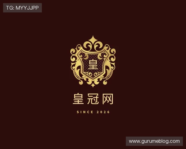项目案例 项目案例
